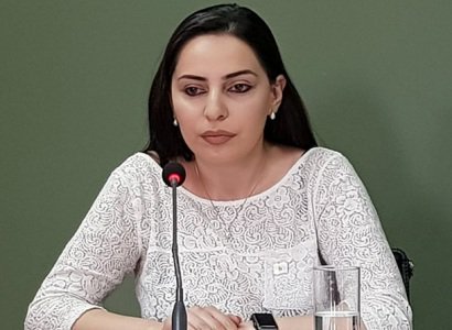 Հայկ Մարությանը 3-շաբաթյա արձակուրդից նոր էր վերադարձել, ու նորից արձակուրդ է մեկնել. Թեհմինա Վարդանյան