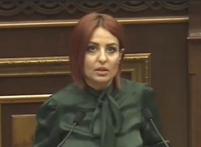 Որտե՞ղ է Արսեն Թորոսյանը, սա այն օրենքն է, որը նա աշխուժորեն լոբբինգ էր անում. Անի Սամսոնյան