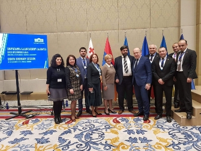 Armenian parliamentary delegation participated in plenary session of Euronest Parliamentary Assembly
