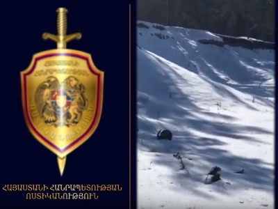 Ոստիկանները բացահայտել են «Սեւան ազգային պարկի» Վարդենիսի մասնաճյուղի տնօրենի ապօրինությունները