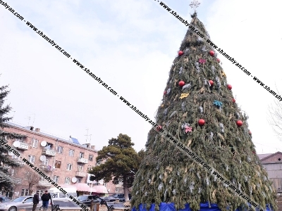 Եղեւնիների սպանդ Արթիկում. Քաղաքացիները կարծում են, որ դրանցով քաղաքի գլխավոր տոնածառն են զարդարել