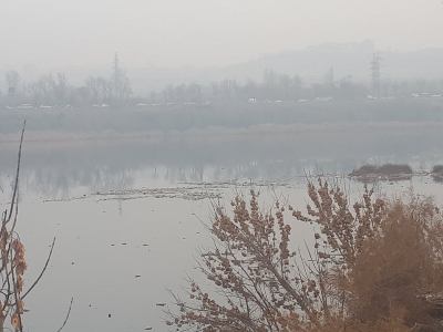 Երեւանյան լիճը լի՞ճ է, թե՞ կեղտաջրերի առու