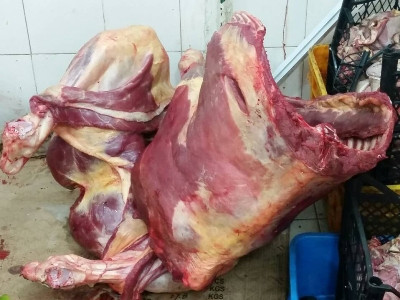 ՍԱՏՄ-ն օգտագործելու է վերահսկման ողջ գործիքակազմը (ֆոտո)