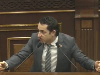 «Իմ քայլը» դաշինքի պատգամավորը հայտարարել է, որ «գենետիկորեն անհամատեղելի» է որոշ գործընկերների հետ