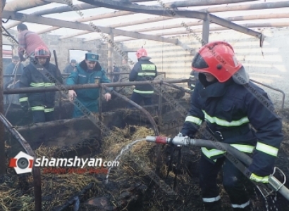 Արարատի մարզում անասնագոմ է հրդեհվել. 20–ից ավելի կենդանիներ են սատկել