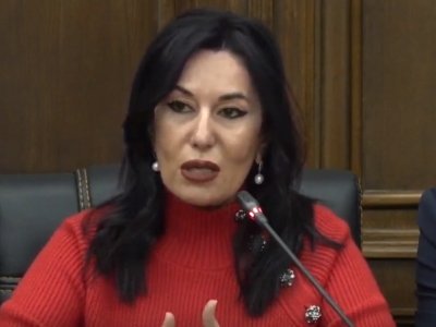 Prosperous Armenia faction MP on challenging President's decree in Constitutional Court