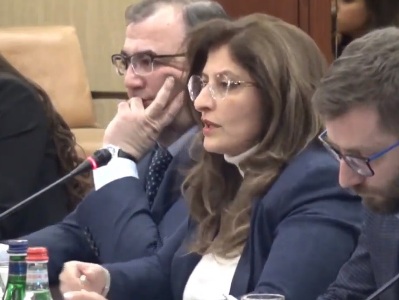 Attorney: Omissions in Armenian legislation cause for lack of protection