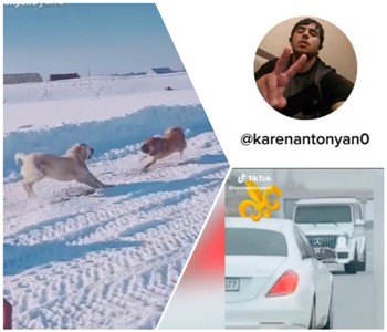 «Փողոցային շնամարտերից» մինչեւ «նիվաներով տրյուկներ». անպատժելիության հետեւանքները