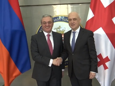 Armenia, Georgia FMs discuss peace and security in region