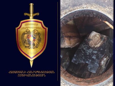 Ոստիկանները ապօրինի ծառահատման դեպք են բացահայտել