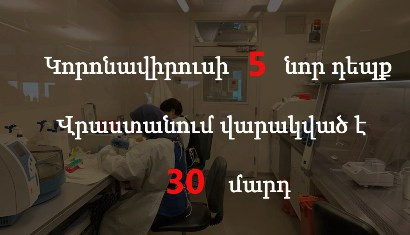 Վրաստանում կորոնավիրուսի հաստատված դեպքերի թիվը հասել է 30-ի