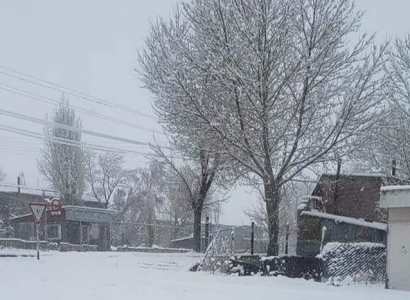 «Խնդրեմ, սա էլ պառավի փախնելու արդյունքը». Հայաստանի մի քանի մարզերում ձյուն է տեղացել (ֆոտո)
