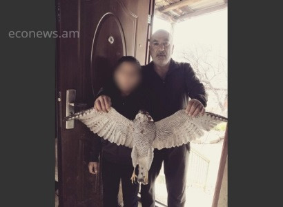 Կարմիր գրքում գրանցված թռչնի որսի առիթով բնապահպանական կայքը հաղորդում է հանցագործության մասին