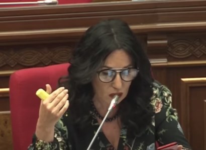 «Չեմ ուզում էմոցիոնալ տեքստեր ասել, բայց մարդիկ սոված են, ուղղակի սոված». Նաիրա Զոհրաբյանը՝ Ավինյանին