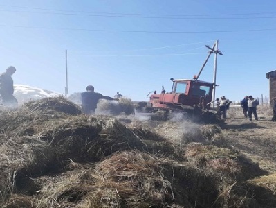 Շիրակի Վարդաղբյուր գյուղում 300 հակ անասնակեր է այրվել (ֆոտո)