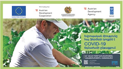 EU to provide EUR 456,500 to Armenia to mitigate negative impact of COVID-19 crisis in agricultural sector