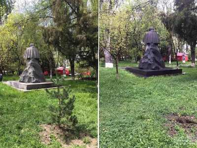 «Օղակաձև» զբոսայգու տարածքից երեկ տնկված 6 թանկարժեք սոճիներից 3-ը գողացել են