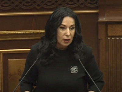Armenian MP says government's social support program for pregnant women not flawless