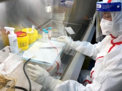 Australia annoyed by US putting forward Wuhan lab COVID-19 theory