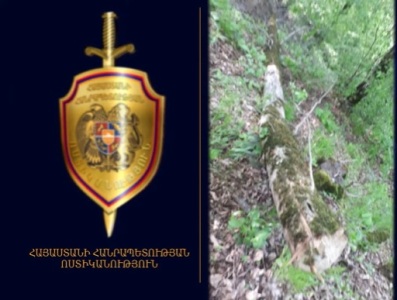 Կապանի ոստիկանները ապօրինի ծառահատման դեպք են բացահայտել