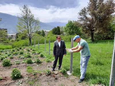 Տավուշի մարզպետն այցելել է մարզում գործող ելակի ջերմոցային տնտեսություն. Այն նաեւ արտահանվում է (ֆոտո)