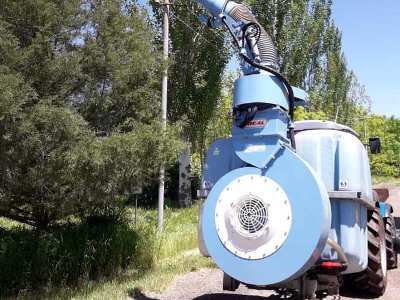 Երեւանի Թումանյան փողոցում վաղը կսկսվեն թեղի տեսակի ծառերի բուժման աշխատանքներ. Մեքենաներն այդտեղ չկայանեք