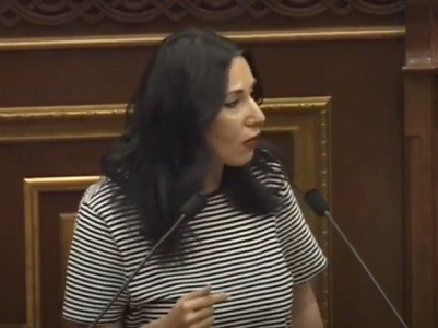 Հասկանալի չէ, թե ինչու ձեր կառավարության հետ էս հարցը մինչեւ այստեղ գալը չեք քննարկել․ Զոհրաբյանը՝ Զեյնալյանին