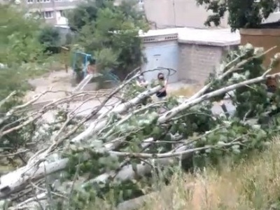Վիլնյուսի փողոցի 38 շենքի մոտ ծառը կոտրվել եւ ընկել է՝ վնասելով սյան լարերը․ Փրկարարները սահմանազատել են տարածքը