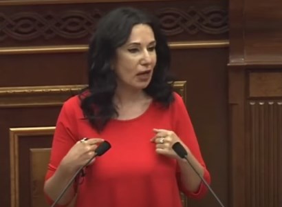 Ի՞նչն է ոստիկանների այդքան անհամաչափ դուխ տալիս, որ փորձում են գերազանցել իրենց լիազորությունները. Նաիրա Զոհրաբյան