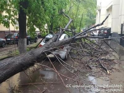 Ուժեղ քամու հետևանքով հաստաբուն ծառն ընկել է վարորդի վրա, մեկ այլ մեքենա էլ բախվել է ընկած ծառին
