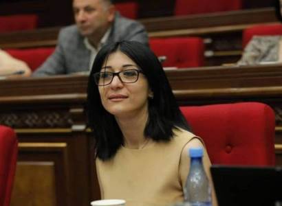 Պատգամավոր Արփի Դավոյանը դիմել է Մարդու իրավունքների պաշտպանին