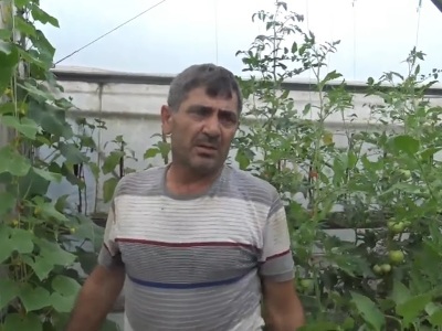 Չնայած հրետակոծությանը, աշխատանքը ջերմոցում չեմ դադարեցրել, բերք եմ հավաքել․ Չինարիի բնակիչ