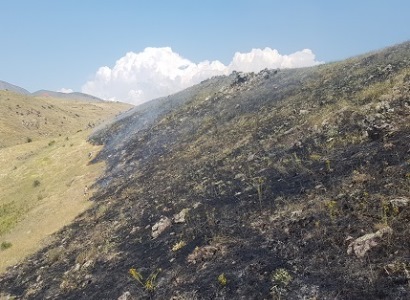 Գառնիում այրվել է մոտ 20 հա խոտածածկույթ. Դեպքի վայր է մեկնել 2 մարտական հաշվարկ. Մարմանը մասնակցել են գյուղացիները
