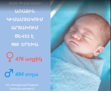6 ամսվա ընթացքում Արցախի առողջապահության նախարարության բուժհաստատություններում ծնվել է 960 երեխա. Արայիկ Հարությունյան