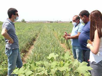 Տեխնոլոգիաներով հնարավոր է գյուղոլորտում ապահովել առավել քան 30% շահութաբերության բարձրացում. Տիգրան Գաբրիելյան