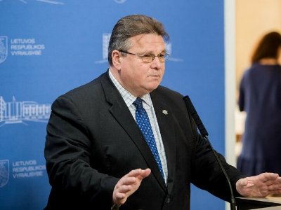 Lithuanian FM: It is difficult to call elections in Belarus fair, democratic and free