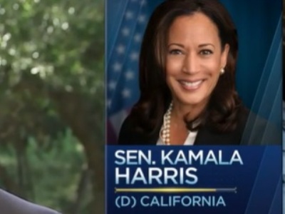 Jo Biden names Kamala Harris as running mate