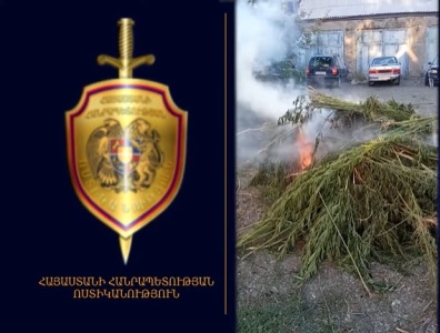 Օգոստոսի 12-ից 13-ը հայտնաբերել և այրելով ոչնչացրել են 2 տոննա 219 կիլոգրամ կանեփի վայրի աճած զանգված