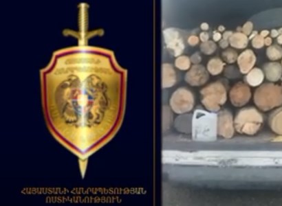 Սարահարթի բնակիչը վառելափայտի օրինականությունը վկայող փաստաթուղթ չի ներկայացրել. մեքենան տեղափոխվել է ոստիկանության