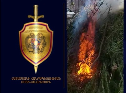Օգոստոսի 20-ից 21-ը հայտնաբերել եւ այրելով ոչնչացրել են 2 տոննա 451 կգ կանեփի վայրի աճած զանգված. Ոստիկանություն