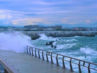 China renews yellow alert for Typhoon Bavi
