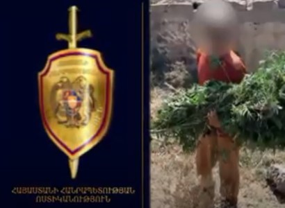 Թալինի ոստիկանները ապօրինի թմրաշրջանառության դեպք են բացահայտել