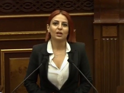 Անի Սամսոնյանը Պետրոս Ղազարյանից պահանջել է ներողություն խնդրել