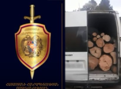 Հատել է Դսեղ գյուղի հարակից անտառի քամատապալ ծառերը. քաղաքացին հրավիրվել է ոստիկանության բաժին