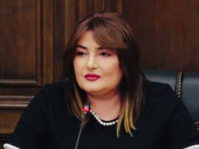 Իշխանական քարոզչամեքենան շրջանառության մեջ դրեց թեզը, որ առաջիկա 2 օրերին Գագիկ Ծառուկյանը կկալանավորվի. Տոնոյան