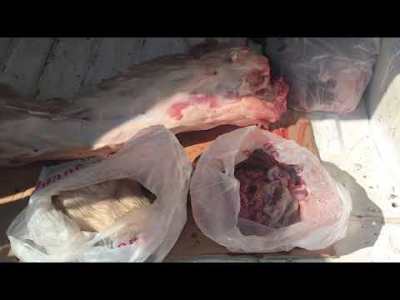 Գիշերով մտել են գոմն ու գողացել 3 խոզ. Նույն օրը գտել են գողերին. Խոզերն արդեն մորթված էին