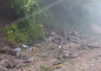 «Լյոխ լավա, տեսնում եք, սաղ փռել ենք գետնին». կադրեր հյուսիսային առաջնագծից