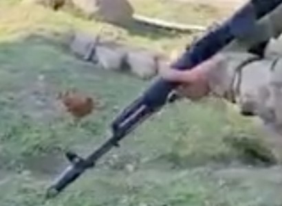 Bellingcat-ի մասնագետները հաստատել են, որ ադրբեջանցի զինվորները սպանում են հայ գերիներին