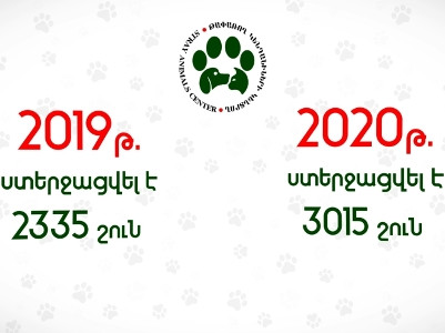 2020 թվականին ստերջացվել և պատվաստվել է ավելի քան 3000 շուն (վիդեո)