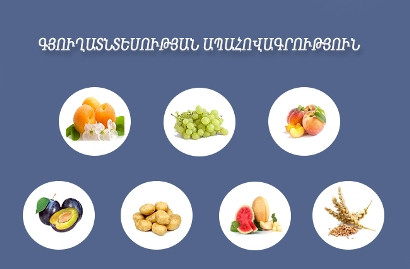 Մեկնարկել են 2021-ի գյուղատնտեսական տարվա համար ապահովագրական պայմանագրերի կնքման աշխատանքները